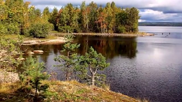 Калина красная.wmv смотреть онлайн