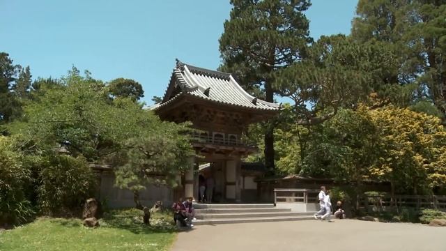 От Ростова-на-Дону до Адлера за 8 секунд смотреть онлайн