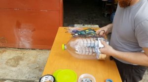 ВЕТРЯК из Пластиковой Бутылки для Отпугивания КРОТОВ и ПТИЦ