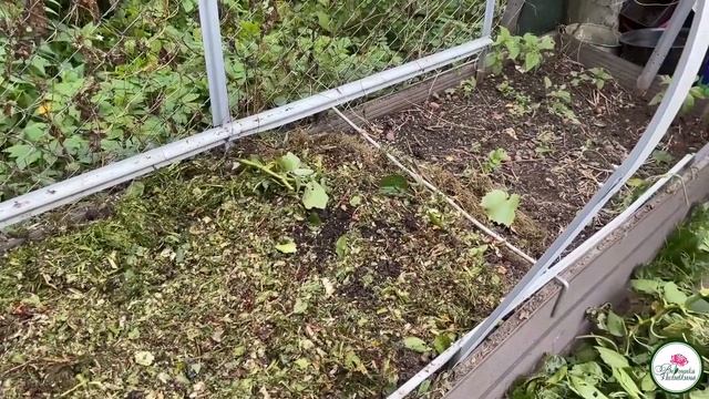 КОМПОСТ В ГРЯДКЕ смотреть онлайн