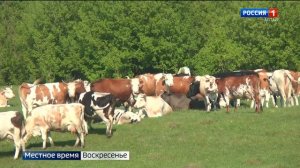 В Госдуме предлагают поддержать производителей молока компенсациями и интервенциями