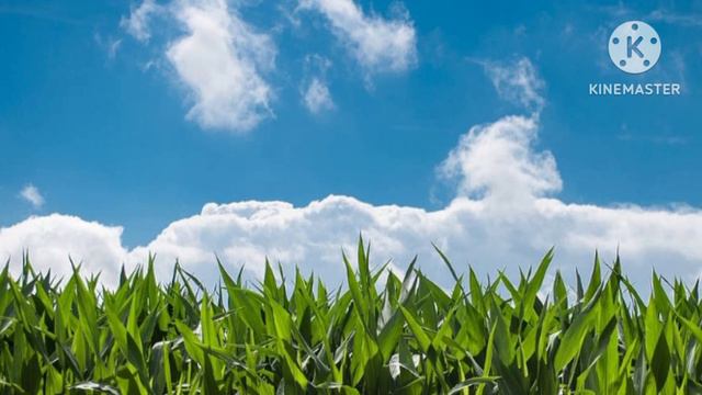 Ушла от мужа с годовалой дочкой на руках и с сумочкой с документами. Истории из жизни. смотреть онлайн