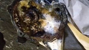 BYD Flyer бид флаер 0.8сс такого я еще не видел