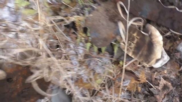 Находки на развалинах избы. Поиск в заброшенной деревне.