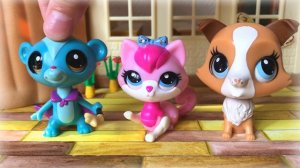 LPS / НЕНОРМАЛЬНЫЕ или СТРАННЫЕ все мои LPS / коллекция lps