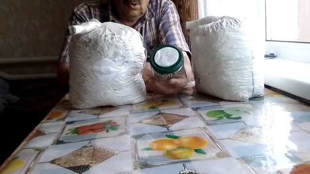 отчёт об изготовлении посевного мицелия из замороженного мицелия