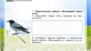 Задание 1 Кто такие птицы? - Окружающий мир 1 класс (Плешаков А.А.) 1 часть
