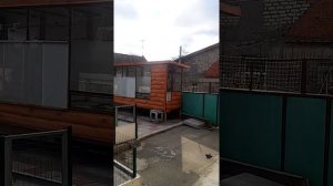 Жаворонок степной.Джурбай поет