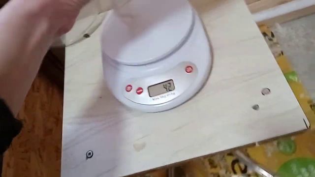 Сколько весит техасский перепел в 1 месяц и неделю?