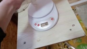 Сколько весит техасский перепел в 1 месяц и неделю?