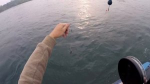 Рыбалка на хариуса. Не большой ликбез, как ловить хариуса без стопора.