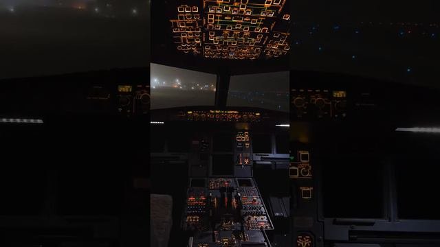 Разные короткие видео