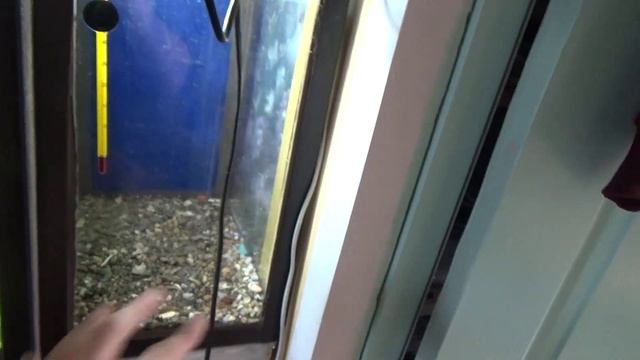 56# МОЩНЫЙ РОСТ МАЛЬКА ДАНИО (Я В ШОКЕ!!!!!) УБОРКА В АКВАРИУМЕ И ГРУНТ КАК БИОФИЛЬТР смотреть онлайн