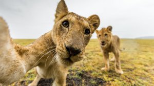 ЧУДИКИ ИЗ ТIК ТОК Top TikTok  №6 (тик ток видео)