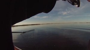 Щука на 5300, осень, северная двина!.mp4
