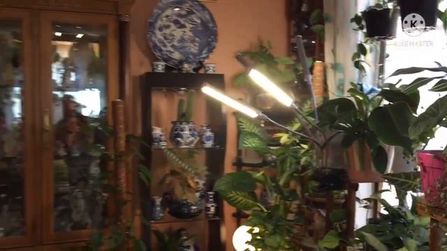 Living room tour + houseplant/ Plant Styling & decor/ Spring living room 2022/ Fil-Am Home & Garden смотреть онлайн