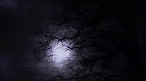 ЛУЧШАЯ МУЗЫКА ДЛЯ БЫСТРОГО СНА & RELAXATION MUSIC FOR SLEEP