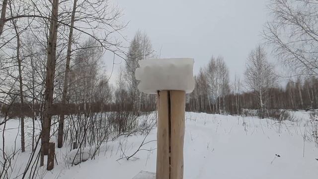 Повез соль на солонец Поломка в лесу Койра богатырь 15л.с смотреть онлайн