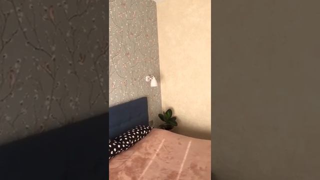 Жидкие обои SilkPlaster в интерьере спальни. Комбинируем обои. смотреть онлайн