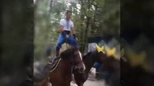 Джигитовка показательное выступление