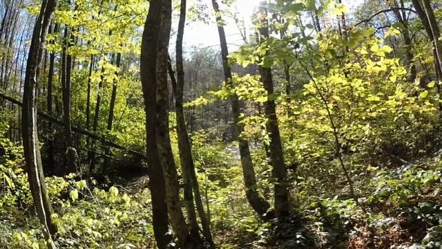 #4 Самурское озеро|лучшие маршруты Апшеронского района смотреть онлайн