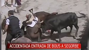 БЫК ПРОТИВ КОНЯ! BULL VS HORSE!