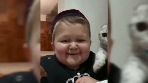 Хасбик и его кошки , Хасбик любит кошек