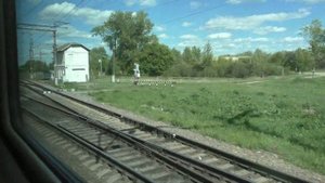 Скоростной поезд Москва Брянск
