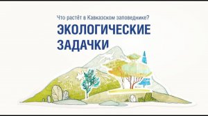 Экологические задачки. Сезон 2. Выпуск № 4 (9)