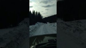 КРАСНОЯРСКИЙ КРАЙ ПОСЕЛОК ОРЕШНОЕ