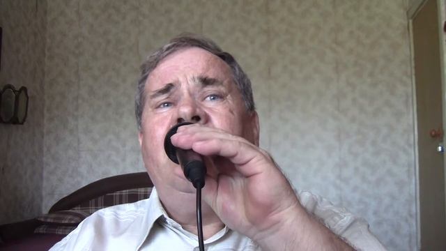 01408 Лебеди летят. Владимир Дыбин. смотреть онлайн