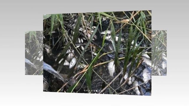 В Дагестане аномалия, в центре Дербента появилось гнилое озеро. смотреть онлайн