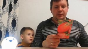 Томат Сорта Сердолик.