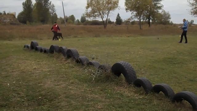 Favourite Boy iz Zamka Princessy BH 54 points смотреть онлайн