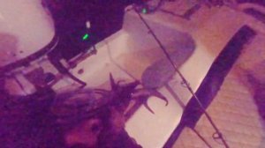 Огромный кальмар.