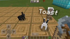 ТОП 3 БАГА С БИРКАМИ В Minecraft!