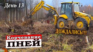 КУПИЛИ ДАЧУ ЗА 10 тысяч! 12 серия - КОРЧЕВАНИЕ ПНЕЙ!