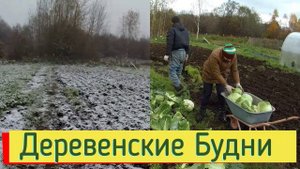 ОГОРОД, ВОДОПРОВОД, ИНДЮКИ и ДЕРЕВЕНСКИЕ НОВОСТИ