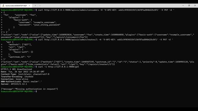 Centralized Authentication with Apache APISIX Plugins смотреть онлайн