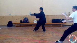 Тайцзицюань Стиль Шень