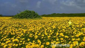 Завараживущие фото|самое красивое что ты когда либо видел!