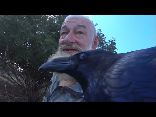 Однажды летом... смотреть онлайн