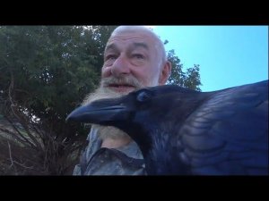 Однажды летом...