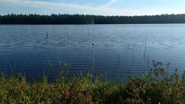 Поход_2023_часть_3 смотреть онлайн