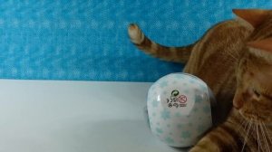 LOL Surprise Winter Games All Star Sports Unboxing # 1 | PSToyReviews