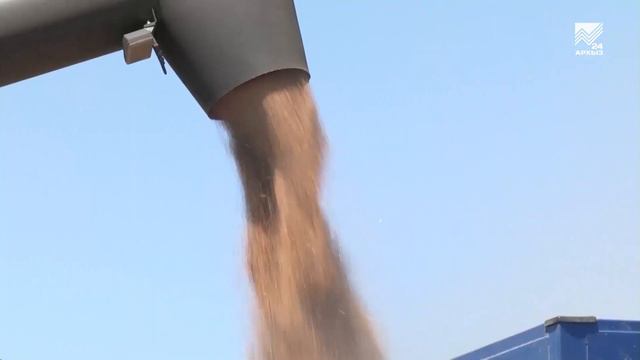 Уборка зерновых в разгаре в Карачаево-Черкесии смотреть онлайн