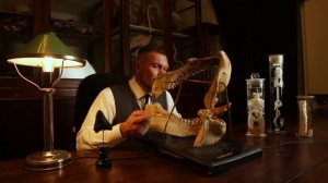 Строение скелета хрящевых рыб на примере акулы. Рассказывает Павел Скучас.