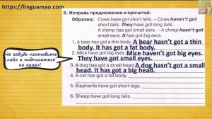 Spotlight 3 класс Сборник упражнений страница 64 номер 6 ГДЗ решебник