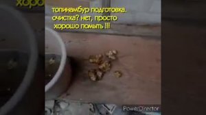 Топинамбур - это просто!  А полезно! уникальное зимостойкое растение.