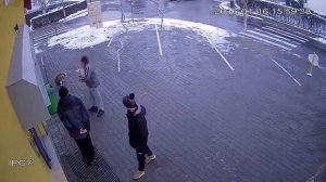 "Сломал" собаку